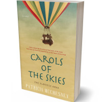 Tablet view of Straw #3686 - Premade Travel Book Cover