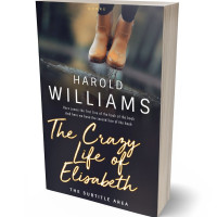 Tablet view of Baltic Sea #3720 - Premade Teen & Young Adult Book Cover