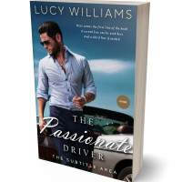 Tablet view of Ebony Clay #3738 - Premade Travel Book Cover