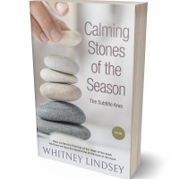 Tablet view of Cloud #3777 - Premade Health & Mind & Body Book Cover