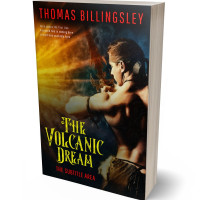 3D view of Brandy Punch #3846 - Premade Historical Book Cover