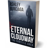 Tablet view of French Gray #3893 - Premade Action & Adventure Book Cover