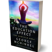 3D view of Woodsmoke #4175 - Premade Health & Mind & Body Book Cover