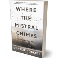 Tablet view of Silver Rust #4338 - Premade Literary Fiction Book Cover