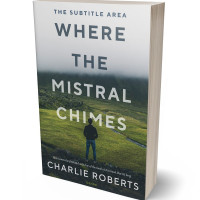 3D view of Premade Mystery & Thriller & Suspense Book Cover - Cabbage Pont