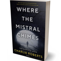 3D view of Tide #4350 - Premade Mystery & Thriller & Suspense Book Cover | BookCoverZone