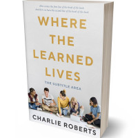 Tablet view of Mercury #4352 - Premade Teen & Young Adult Book Cover