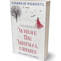 3D view of Westar #4358 - Premade Historical Book Cover