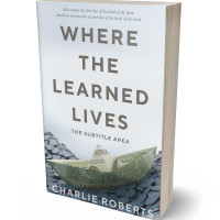 Tablet view of Mystic #4363 - Premade Business Book Cover