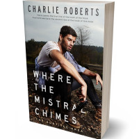 Tablet view of Cocoa Brown #4385 - Premade Mystery & Thriller & Suspense Book Cover