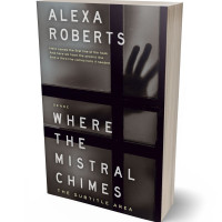 3D view of Thunder #4386 - Premade Mystery & Thriller & Suspense Book Cover