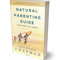 3D view of Champagne #4523 - Premade Apocalyptica Book Cover