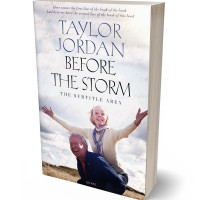 3D view of Premade Romance Book Cover - Bon Jour