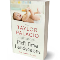 Tablet view of Satin Linen #4666 - Premade Family & Parenting Book Cover