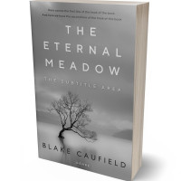 3D view of Premade Mystery & Thriller & Suspense Book Cover - Gray