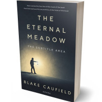 3D view of Outer Space #4742 - Premade Mystery & Thriller & Suspense Book Cover