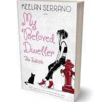 Tablet view of Gallery #4781 - Premade Abstract Book Cover