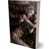 3D view of Gondola #4815 - Premade Erotica Book Cover