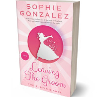 3D view of Cherub #4828 - Premade Teen & Young Adult Book Cover