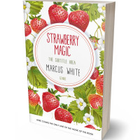 Tablet view of Sycamore #5003 - Premade Cookbooks & Food & Wine Book Cover
