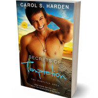 Tablet view of Di Serria #5104 - Premade Erotica Book Cover