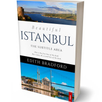 Tablet view of Rodeo Dust #5302 - Premade Travel Book Cover