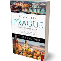 Tablet view of Rodeo Dust #5307 - Premade Travel Book Cover