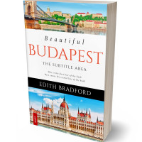 Tablet view of Swirl #5311 - Premade Travel Book Cover