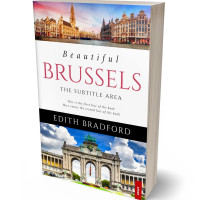 Tablet view of Silver Rust #5325 - Premade Travel Book Cover