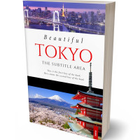 Tablet view of Thunder #5336 - Premade Travel Book Cover