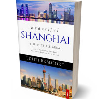 Tablet view of Wild Blue Yonder #5346 - Premade Travel Book Cover