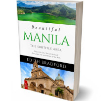 Tablet view of Rangitoto #5353 - Premade Travel Book Cover