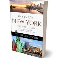 Tablet view of Mist Gray #5354 - Premade Travel Book Cover