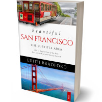 3D view of Casper #5356 - Premade Travel Book Cover