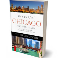 Tablet view of Ebony Clay #5358 - Premade Travel Book Cover | BookCoverZone