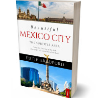 Tablet view of Clam Shell #5365 - Premade Travel Book Cover