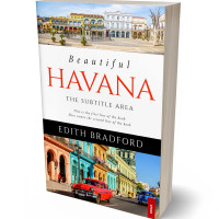 Tablet view of Soft Amber #5368 - Premade Travel Book Cover