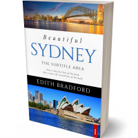 Tablet view of Tuna #5369 - Premade Travel Book Cover