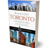 Tablet view of Shark #5372 - Premade Historical Book Cover