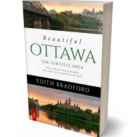 Tablet view of Tumbleweed #5375 - Premade Travel Book Cover