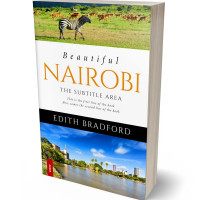 Tablet view of Husk #5376 - Premade Travel Book Cover