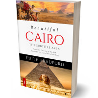 Tablet view of Tussock #5378 - Premade Travel Book Cover