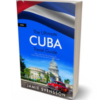 Tablet view of Thatch #5411 - Premade Travel Book Cover