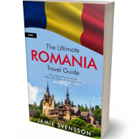 Tablet view of Cornflower #5434 - Premade Travel Book Cover