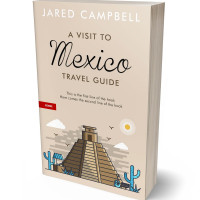 Tablet view of Bone #5442 - Premade Travel Book Cover