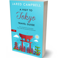 3D view of Picton Blue #5461 - Premade Travel Book Cover