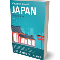 Tablet view of Eastern Blue #5489 - Premade Travel Book Cover