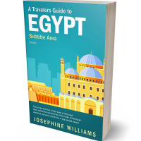 Tablet view of Eastern Blue #5495 - Premade Travel Book Cover