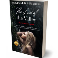 3D view of Woodsmoke #5677 - Premade Romance Book Cover