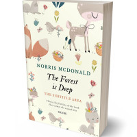 3D view of Quarter Spanish White #5732 - Premade Abstract Book Cover